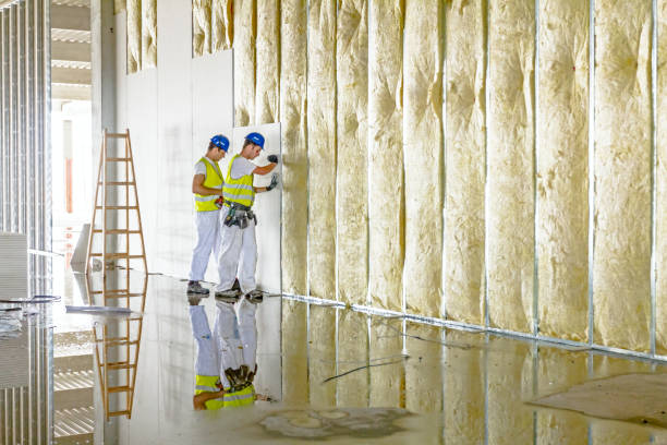 Types of Insulation We Offer in Sprague, WV